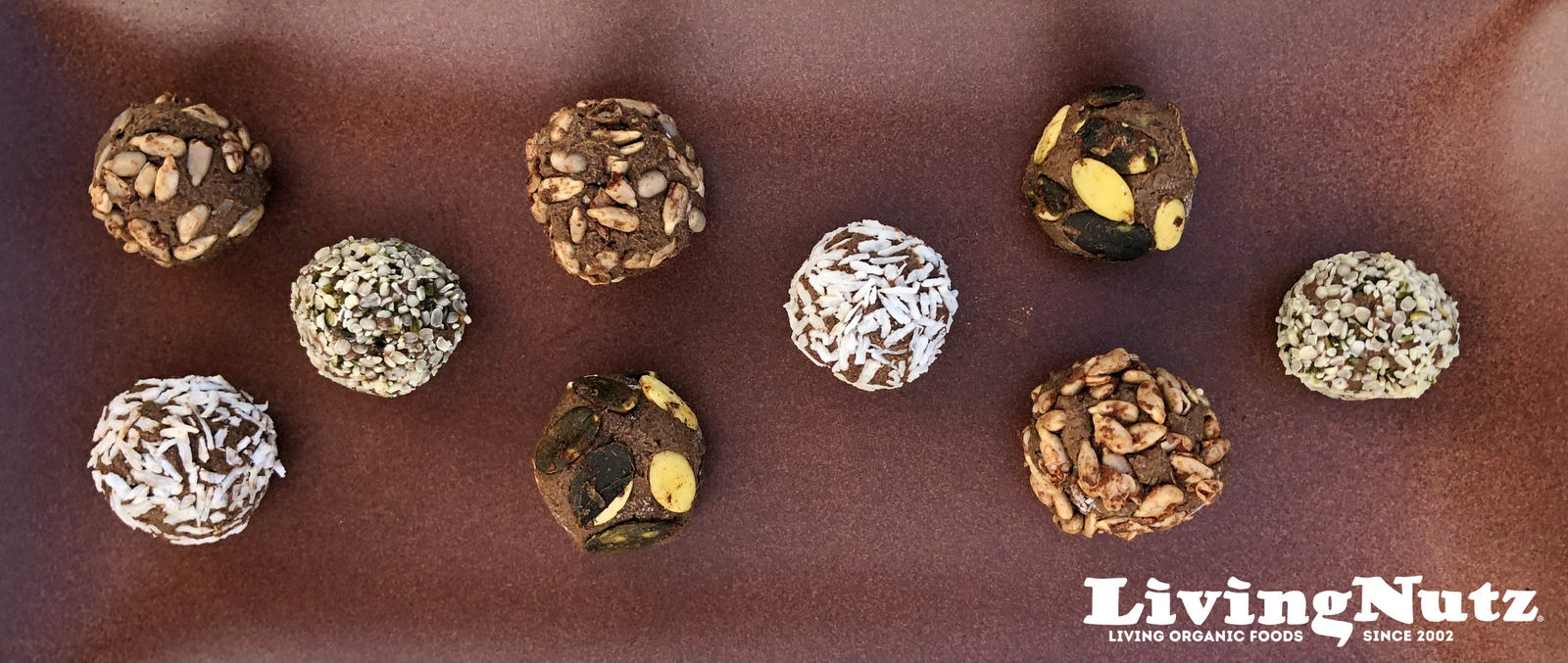 Living Nutz avocado truffle with organic nuts and seeds