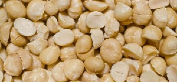 Raw, Organic & Nuts: Macadamia nuts for you!